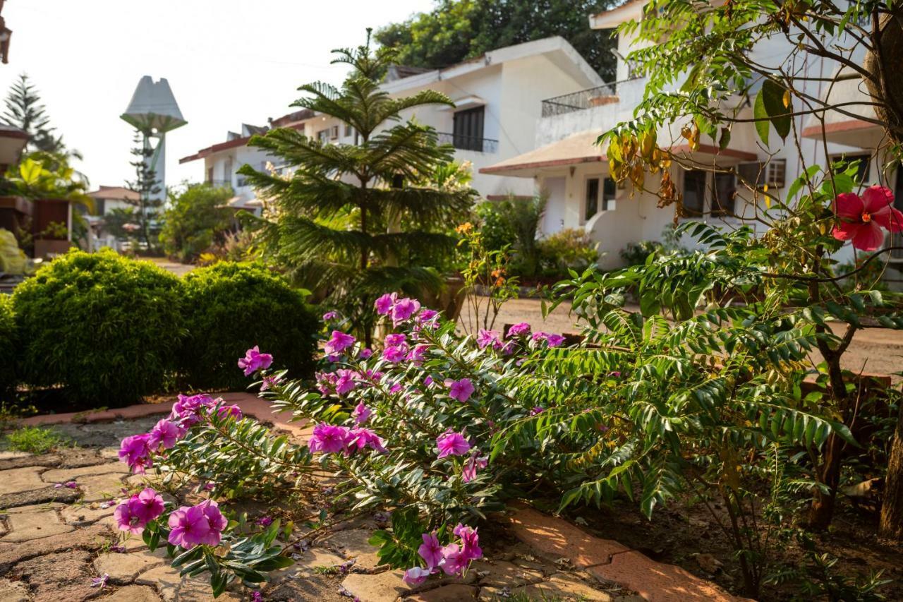Aspirealconvilla-2Bhk-Beachtouch-Candolim Eksteriør billede